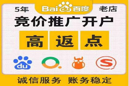 成功企业SEM竞价代运营案例研究